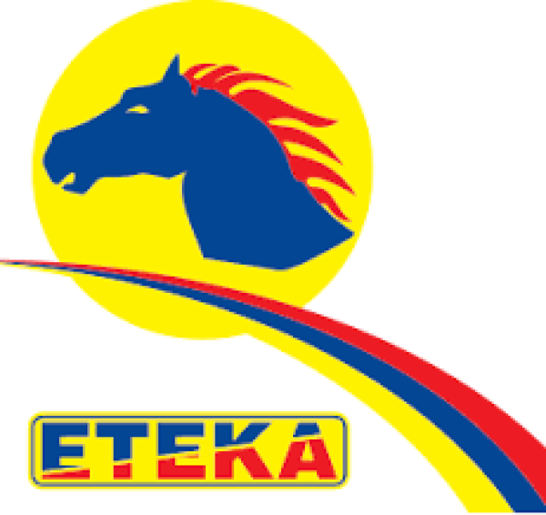 Λογότυπο επαγγελματία