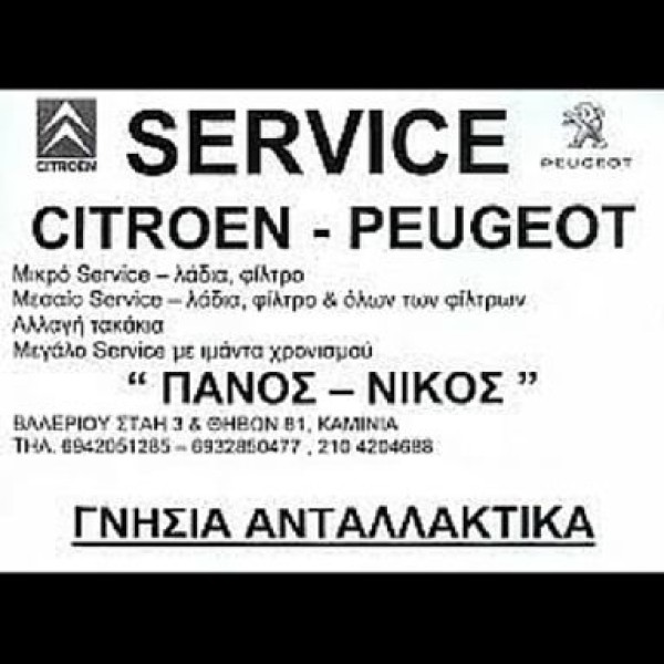 Λογότυπο επαγγελματία
