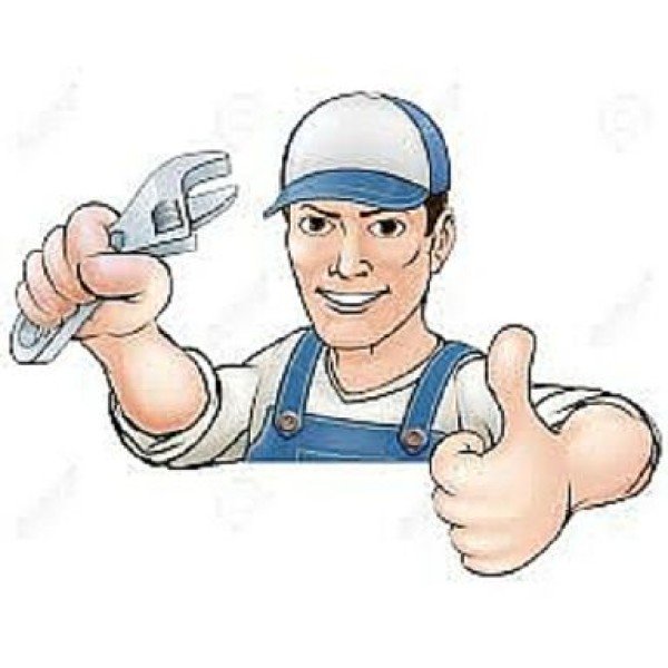 Professional logo