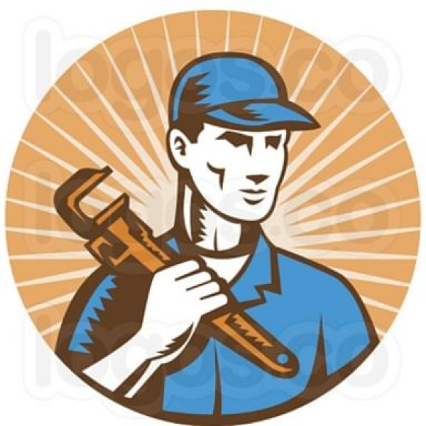 Professional logo