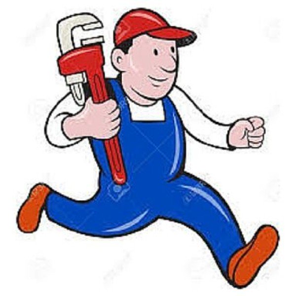 Professional logo