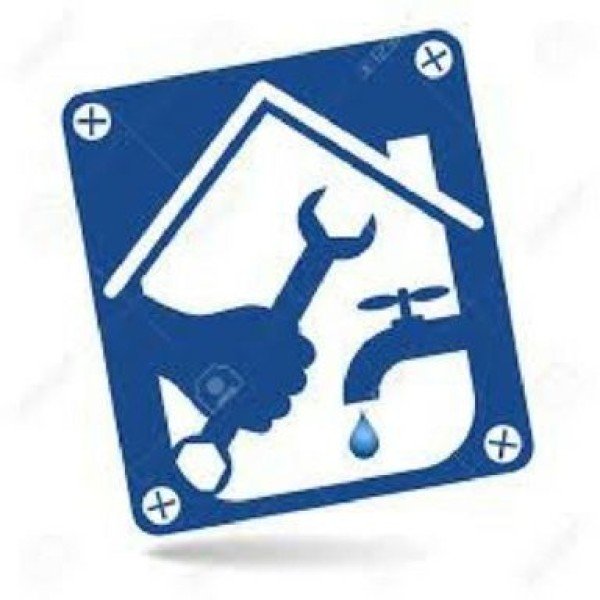 Professional logo
