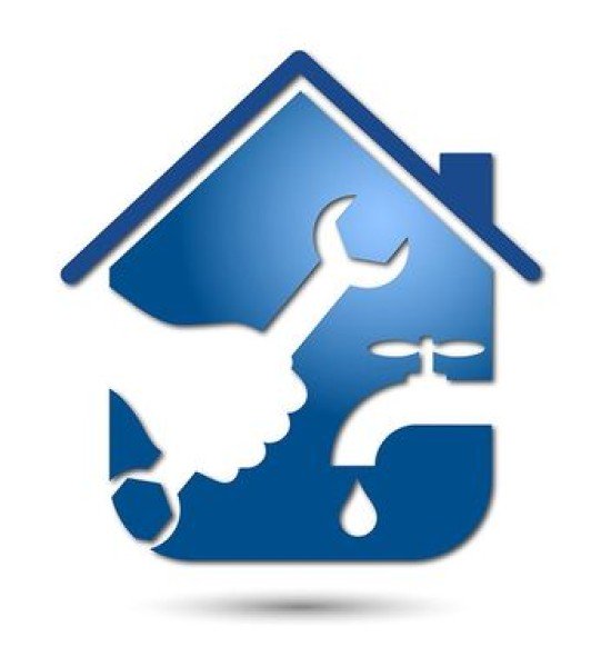 Professional logo