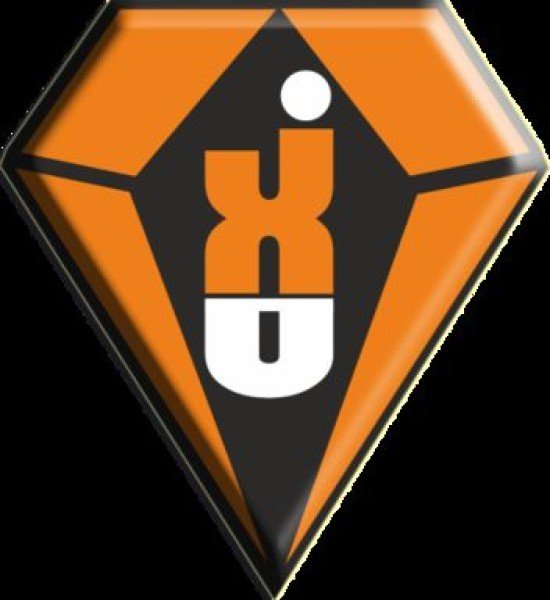 Professional logo