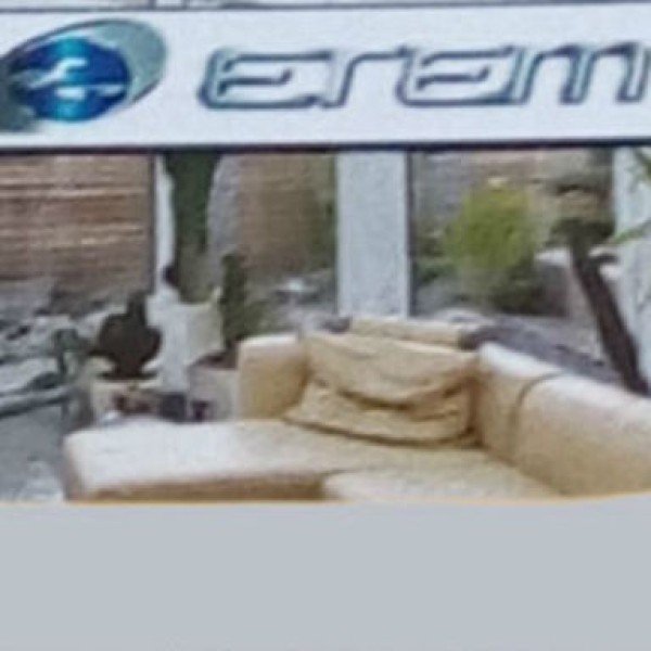 Λογότυπο επαγγελματία