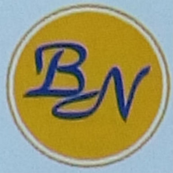 Professional logo