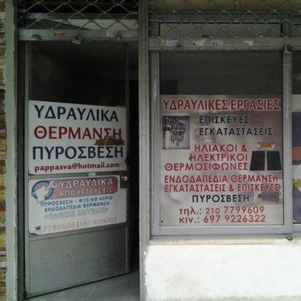 Professional logo