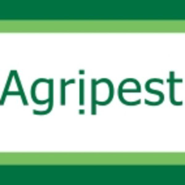 Professional logo