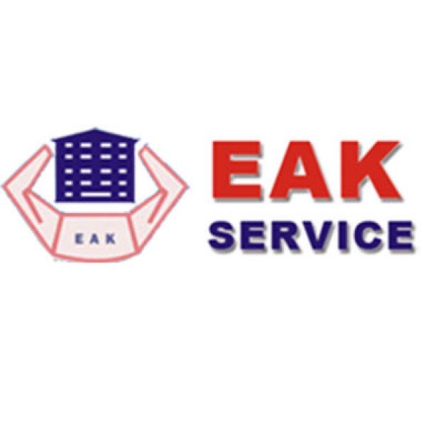 Professional logo
