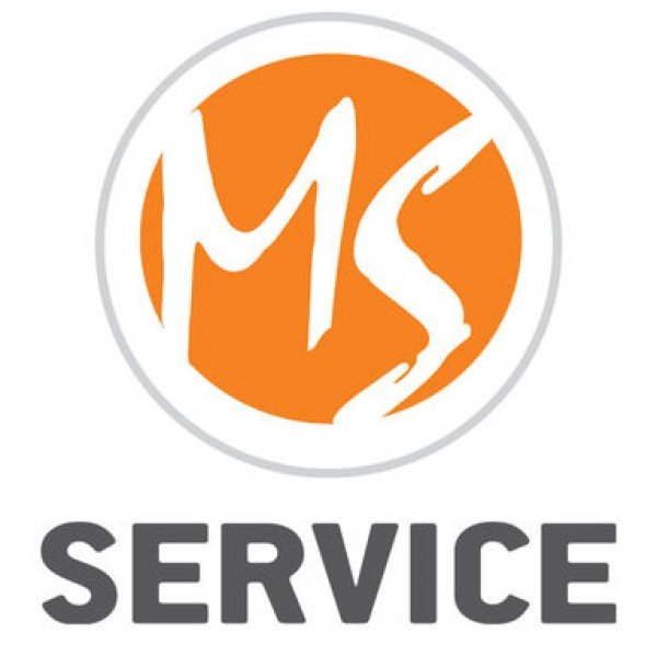 Professional logo