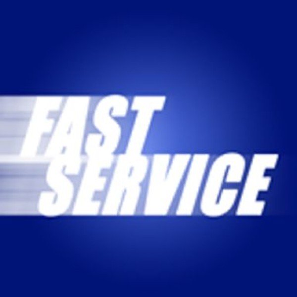 Professional logo