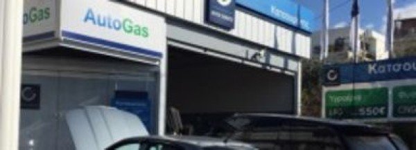 Λογότυπο επαγγελματία