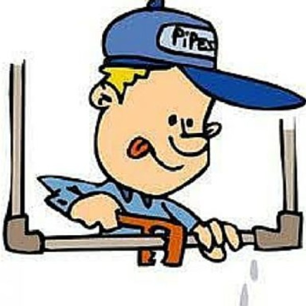 Professional logo