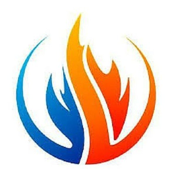 Professional logo