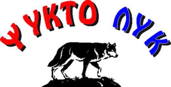 Λογότυπο επαγγελματία