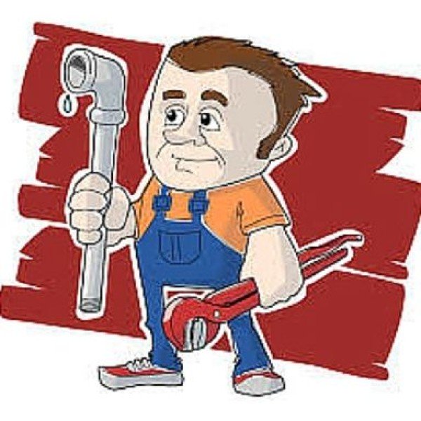 Professional logo