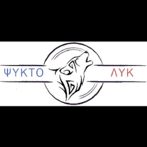 Λογότυπο επαγγελματία