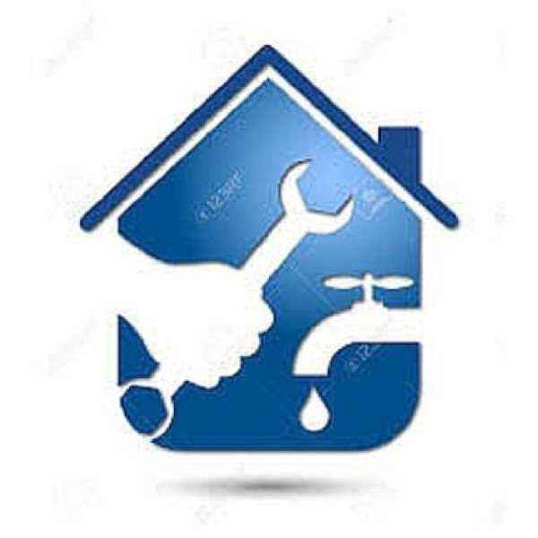 Professional logo